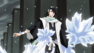 Byakuya Caught In The Ice