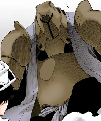 Sajin Komamura Bleach Wiki Fandom