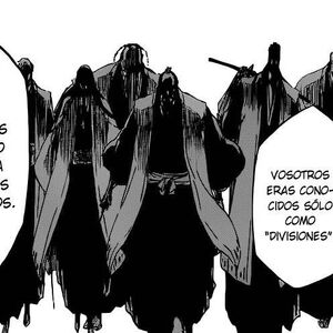 Gotei 13 Bleach Wiki Fandom
