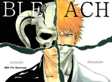 Bleach 289 Capitulo