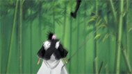 Kenpachi usando Hakuda