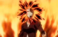 248Ichigo dons