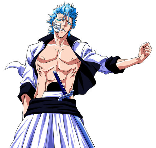 Image - Grimmjow bleach.jpg | Bleach Wiki | FANDOM powered by Wikia