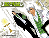 335Cover
