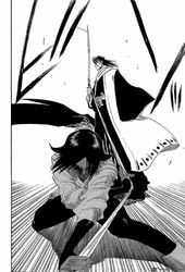 Bleach-11437-1-