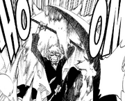 401Ichigo repels