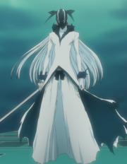 Nuevo Hollow Ichigo