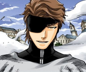 Sōsuke Aizen | Bleach Wiki | Fandom