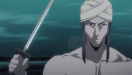 RuriIroKujakuShikai