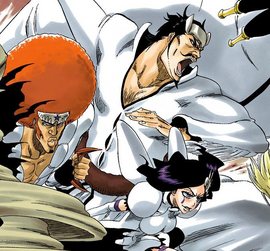 Espada | Bleach Wiki | FANDOM powered by Wikia