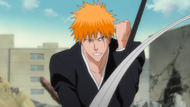 297Ichigo blocks