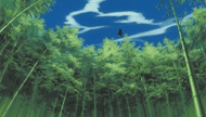 ZarakiHakuda