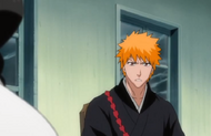 237Ichigo states