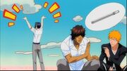 Bleach - 252 RAW 20100105-22244363-1-