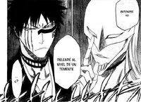 Findorr le dice a Hisagi que peleara al nivel de un teniente