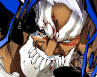 382Byakuya and Kenpachi prepare