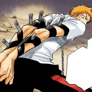 Kin Bleach Wiki Fandom