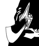 R686 Zanpakuto Ichika