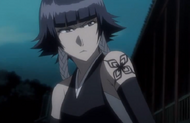 245Homonka appears