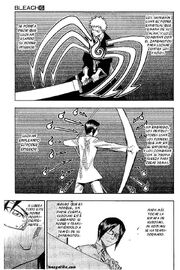 Bleach2-31-