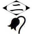 Segunda Division Insignia