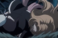 245Rangiku collapses