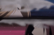 262Rangiku and Haineko release