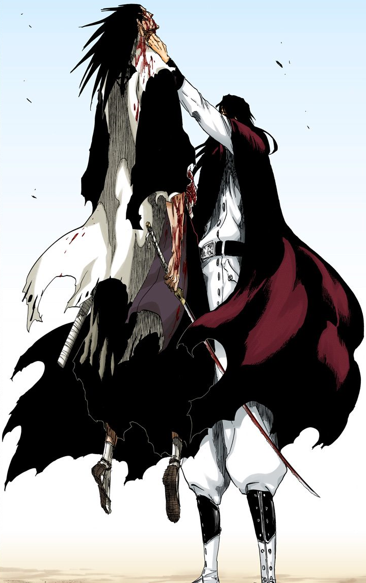 Imagen - Kenpachi Derrotado.png | Bleach Wiki | FANDOM powered by Wikia