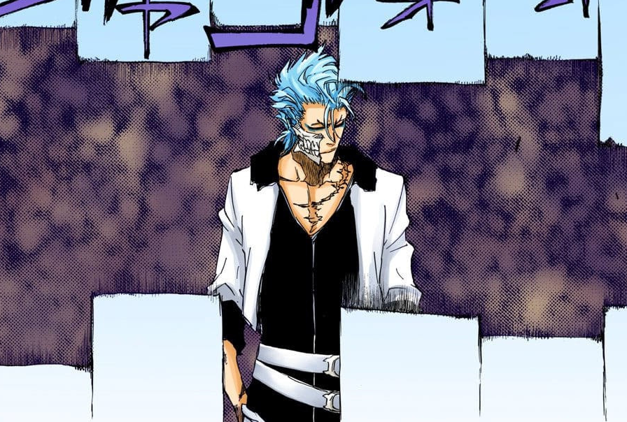 Image 624Grimmjow arrives.png Bleach Wiki FANDOM powered by Wikia