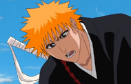 MONIchigo blames