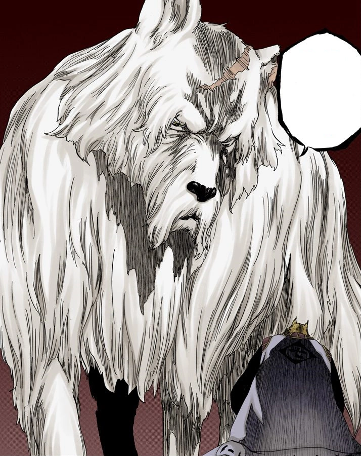 Wolfman Clan Elder Bleach Wiki FANDOM powered by Wikia