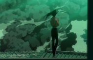 Ep341YoruichiObserves