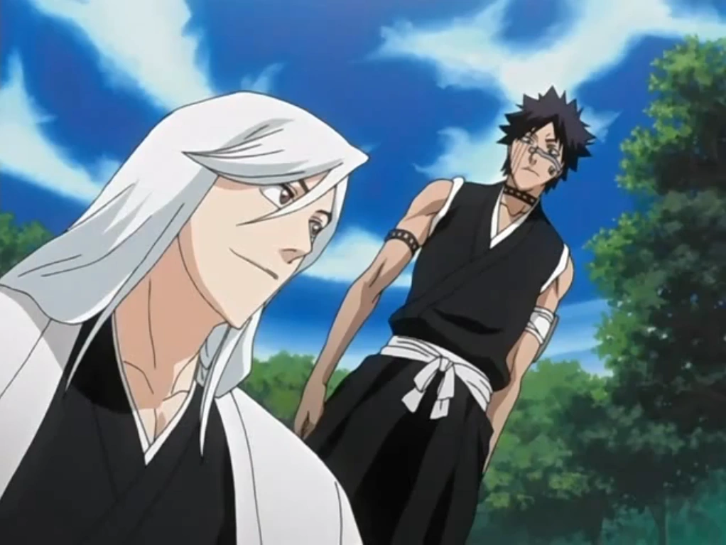 Obraz Ukitake And Hisagi.png Bleach Wiki FANDOM powered by Wikia