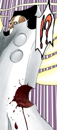 Lille Barro | Bleach Wiki | Fandom