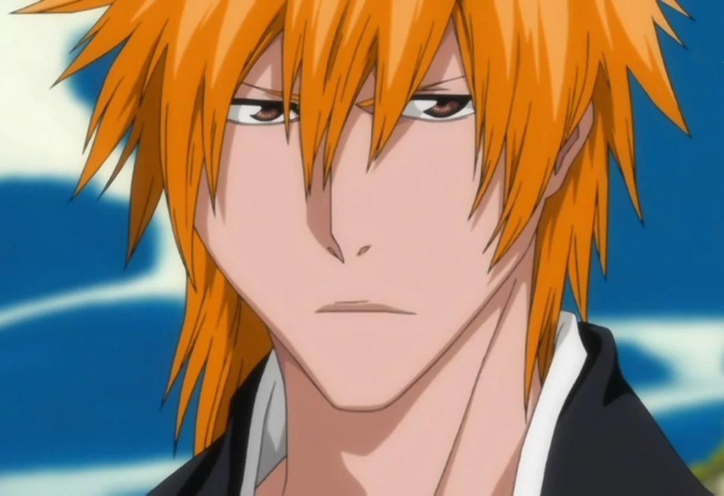 Obraz Ichigo profile ep 308 (4).jpg Bleach Wiki FANDOM powered by