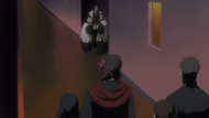 250Koga sees