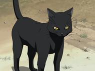 Ep15CatYoruichi