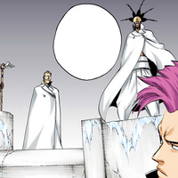 Pepe Waccabrada Bleach Wiki Fandom