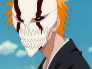 292Ichigo dons