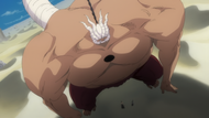 289Yammy transforms