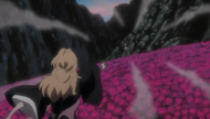 Rangiku releases Shikai on Haineko