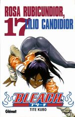 Tome 17