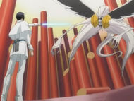 Ishida vs Cirucci
