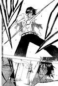 Bleach13333