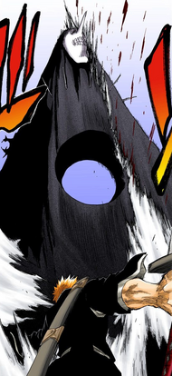 49Ichigo slashes