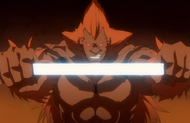 259Hozukimaru manifests