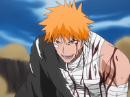 Ep58IchigoProclaimsAchieve