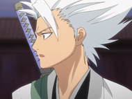 Ep34HitsugayaWarning