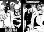 Fullbringer evolution
