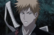 240Ichigo asks